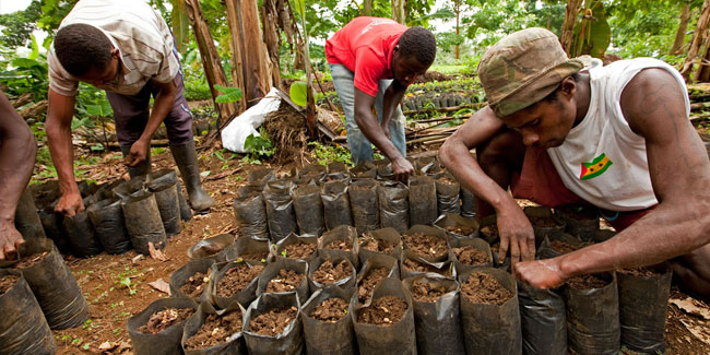 30. September - Tag der Agrarreform in São Tomé und Príncipe