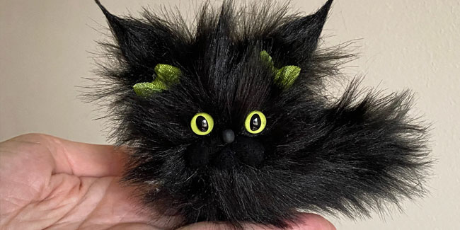 27. Oktober: Tag der Anerkennung der schwarzen Katze