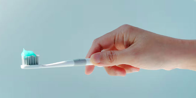 1. November: Nationaler Bürstentag