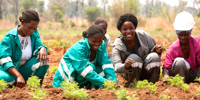 6. November: Tag des Baumes in der Republik Kongo