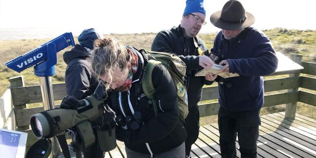 6. November: Tag des finnisch-schwedischen Erbes – Ein Flaggentag in Finnland