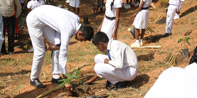 15. November - Nationaler Tag der Baumpflanzung in Sri Lanka