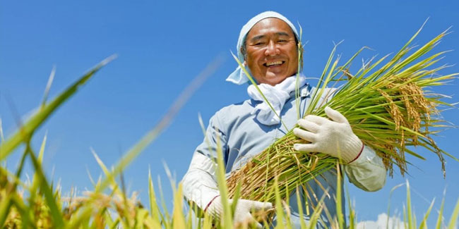 23. November: Arbeits-Erntedankfest in Japan