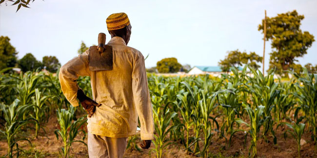6. Dezember - Nationaler Tag der Landwirte in Ghana