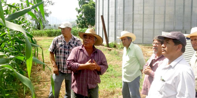 22. Februar - Tag des Agraringenieurs in Mexiko