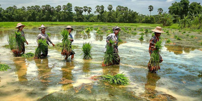 2. März - Tag der Landwirte in Myanmar