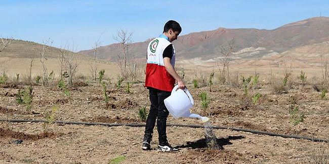 5. März - Tag der Baumpflanzung im Iran