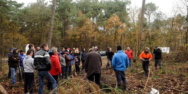21. März - Tag der Baumpflanzung in Belgien, Italien, Lesotho und Portugal