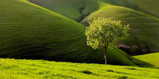 21. März - Frühlingstag im Irak