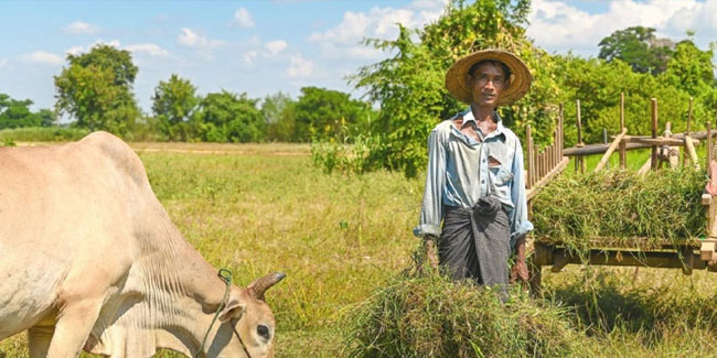 2. März: Tag der Landarbeiter in Myanmar