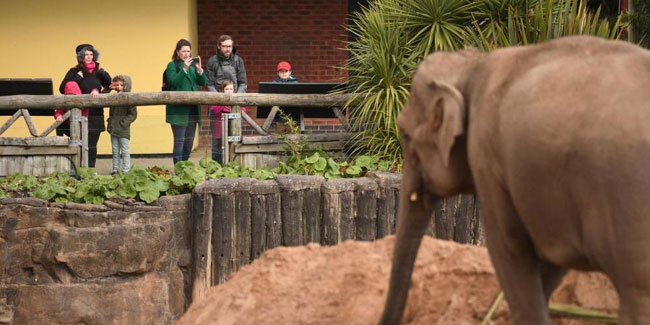 20. Juni - Welt-Zoo-Elefantentag