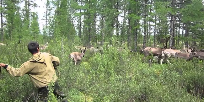 2. August: Evenki-Naturtag