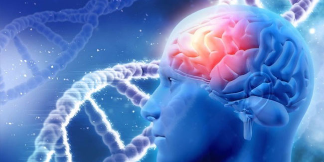 21. September: Welt-Alzheimertag