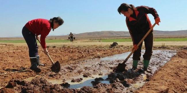 24. September: Erntedankfest in der Republik Korea und der Demokratischen Volksrepublik Korea