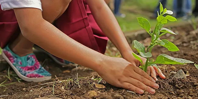 15. Oktober - Tag der Gartenarbeit oder Tag des Baumpflanzens in Sri Lanka