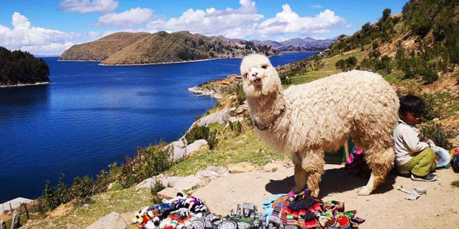 5. November - Puno-Tag in Peru