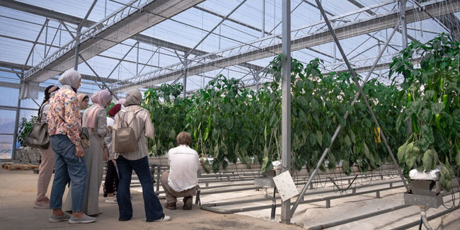 7. April: Tag der Ingenieure in Jordanien