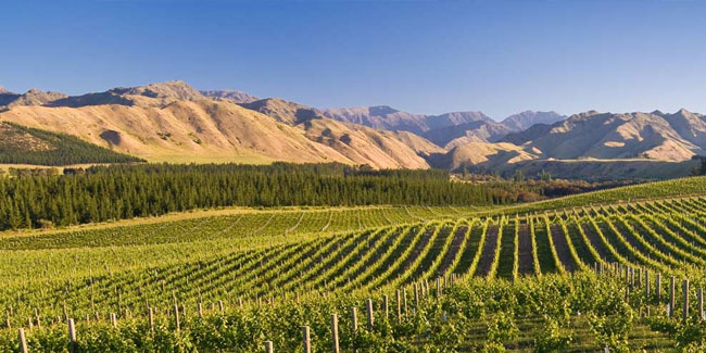 2. November - Marlborough-Jubiläumstag in Neuseeland