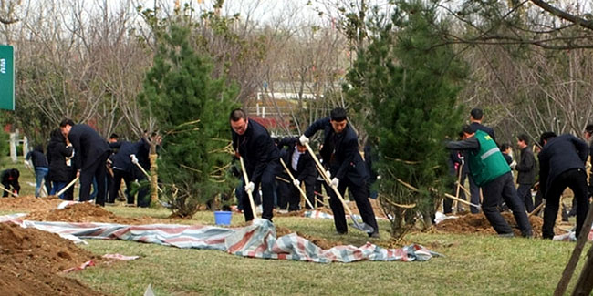 12. März: Tag des Baumes in China