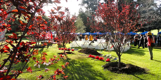 12. März: Tag des Baumes in Taiwan