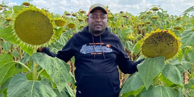 18. September: Nationaler Sonnenblumentag in Südafrika