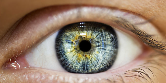 27. September: Weltnetzhauttag