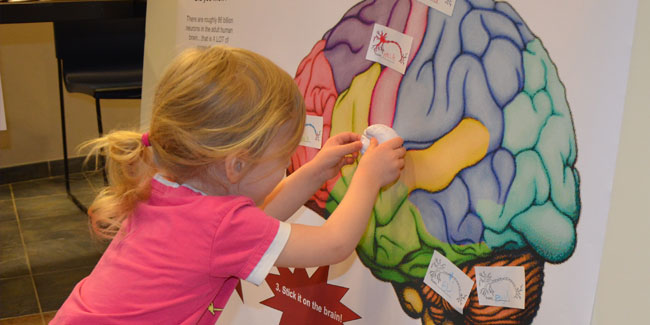 12. März - Globale Woche des Bewusstseins für das Gehirn