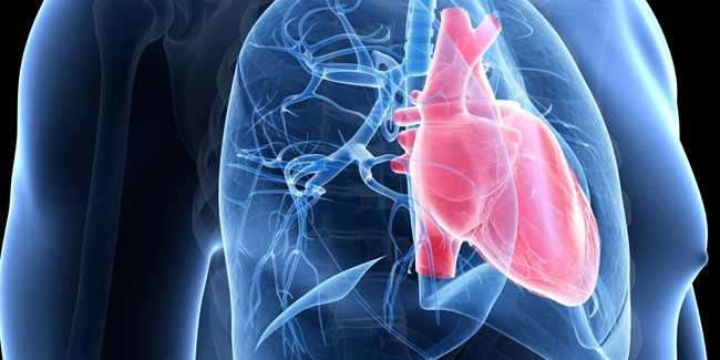5. Mai - Welttag der pulmonalen Hypertonie