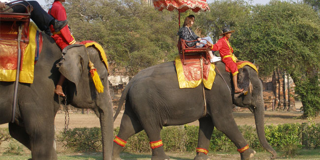 13. März - Nationaler Elefantentag in Thailand