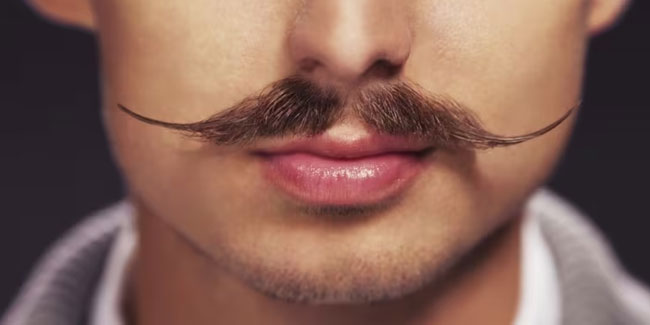 1. November - Movember in Kanada