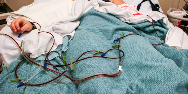 19. September: Welttag der Knochenmarkspender