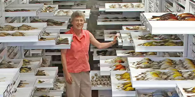 19. März: Taxonomischer Anerkennungstag