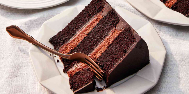 Tag des Saatguttausches in den USA - Tag des Schokoladenkuchens