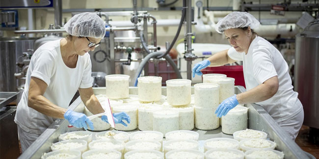 4. Juni: Nationaler Tag der Käser in den USA