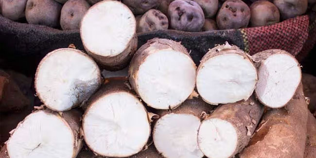 28. Juni: Nationaler Tapioka-Tag in den USA