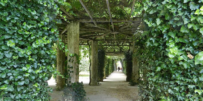 Tag des Baumes in Portugal