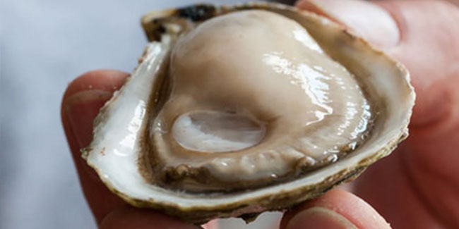 5. August: Welt-Austern-Tag