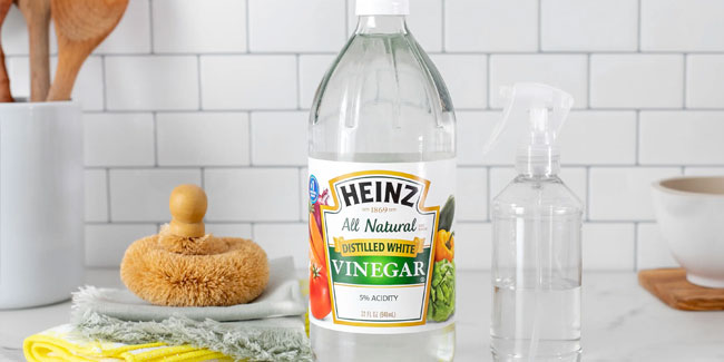 1. November: Nationaler Pastetentag und Nationaler Essig-Tag in den USA