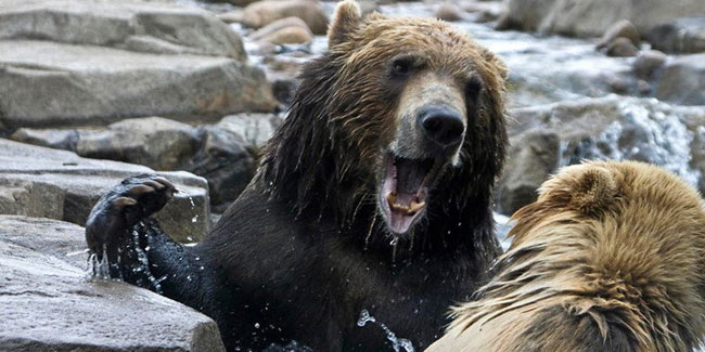 7. Januar - Der Tag, an dem ich es mir nicht mehr gefallen lasse