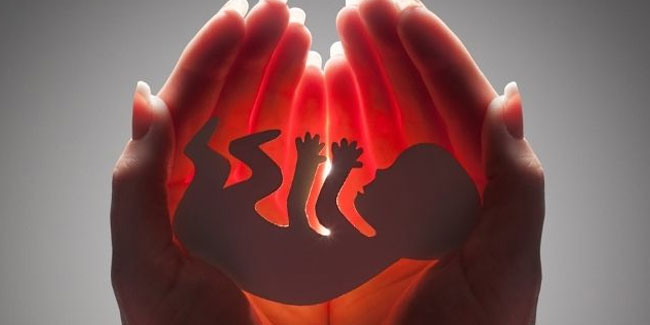 25. März - Internationaler Tag des ungeborenen Kindes