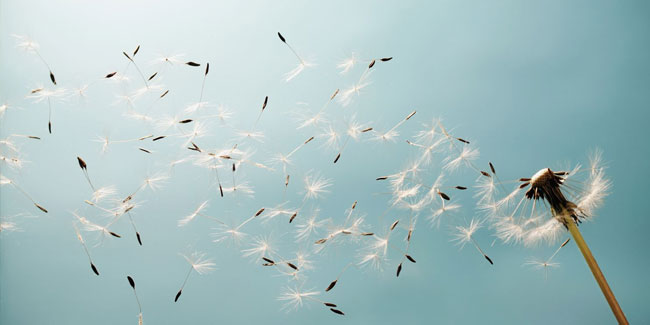 12. April - Tag des großen Windes