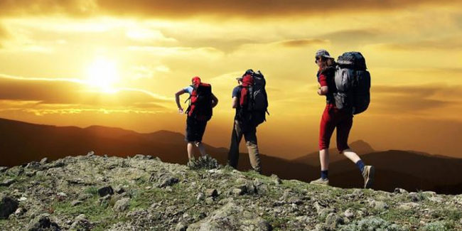 12. April - Tag des Spaziergang auf der wilden Seite