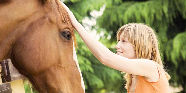 26. April - Helfen Sie einem Pferdetag