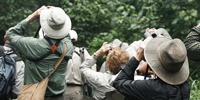 27. April: Vogelbeobachtungstag