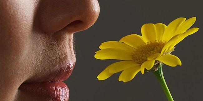 27. April: Tag des Geruchssinns