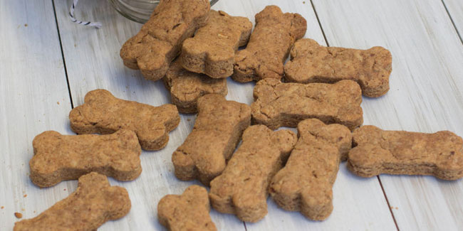 23. Februar: Internationaler Tag des Hundekuchens