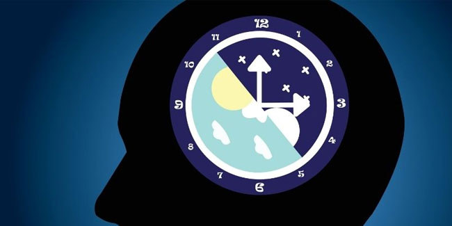 28. April: Tag der biologischen Uhr