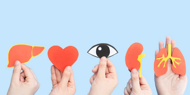 Tag des Spenders oder Tag der Organspende