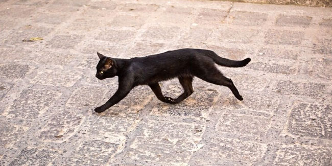 13. September: Tag des Aberglaubens