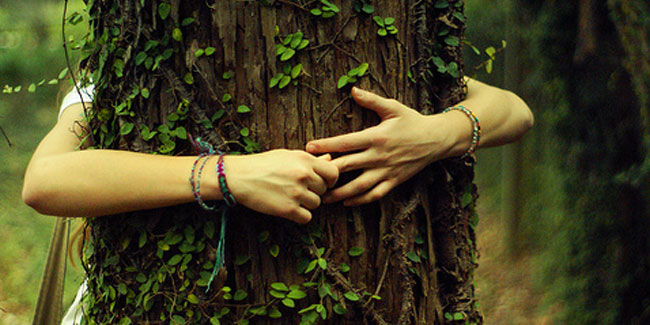 16. Mai: Tag der Baumliebe